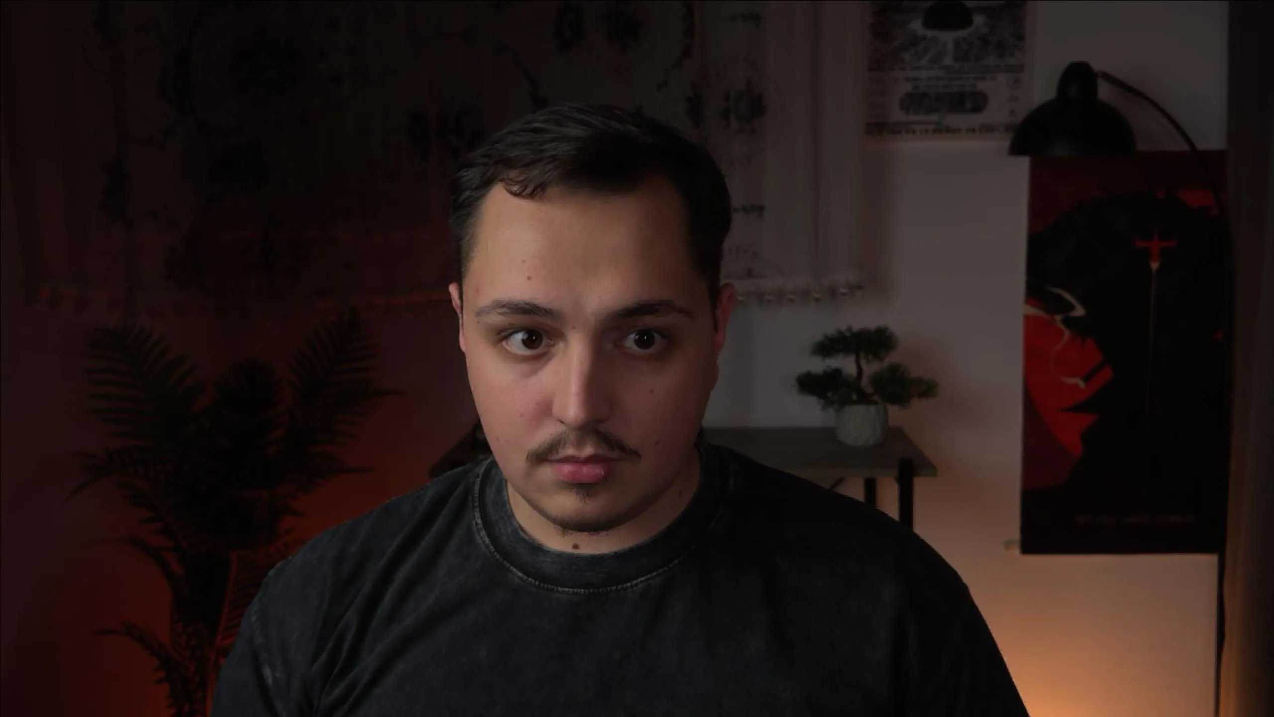 A man sitting at a desk in a home office, behind them is a decorative curtain, a plant, and a wall posters.